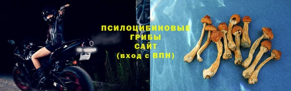герыч Абинск