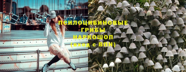 стафф Абдулино