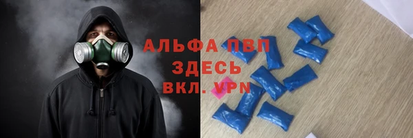сатива Абаза