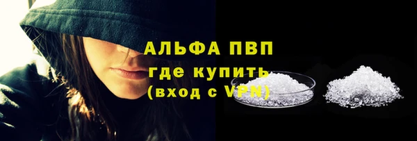 сатива Абаза