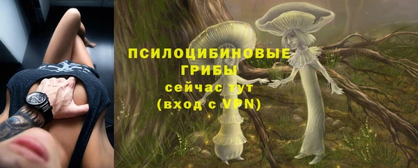 стафф Абдулино