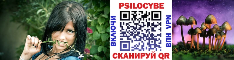 Псилоцибиновые грибы Psilocybe  Нижняя Тура 